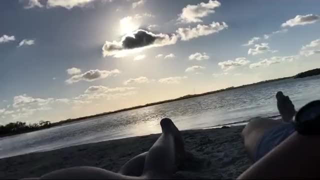  clip
