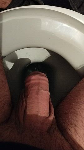 cock pee peeing penis clip