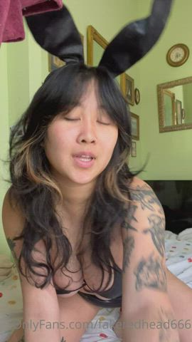 asian big tits bunny clip