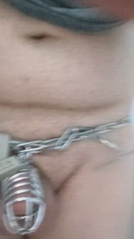 Bondage Chastity Chastity Belt clip