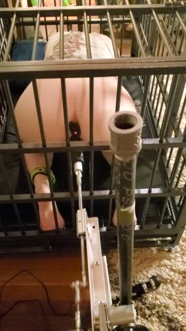 bdsm butt plug caged fucking machine clip