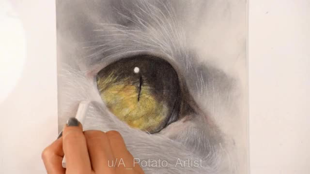 Cat eye with pastel chalk