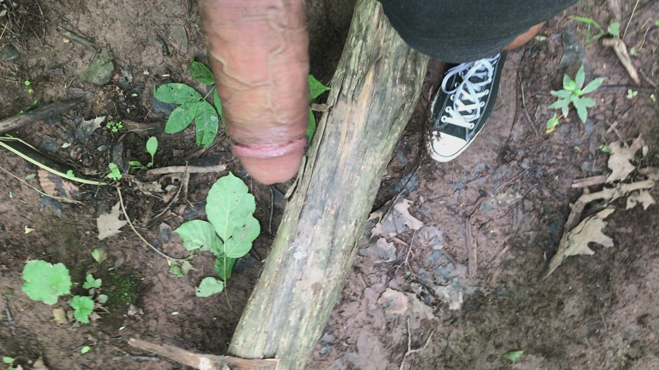 (M)y first time going for a walk in the woods (OC)