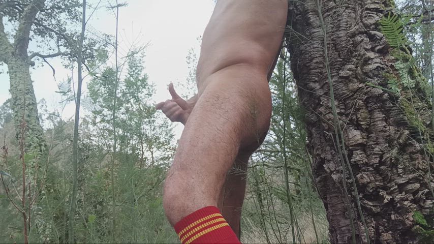erection jerk off male masturbation masturbating nudist nudity outdoor clip