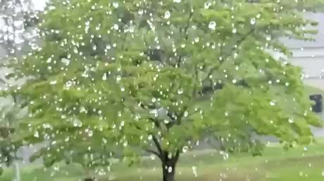 Rain-in-Slow-motion