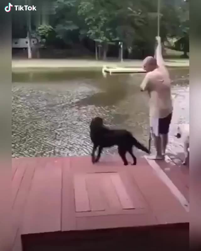 When you drown, what would your dog do