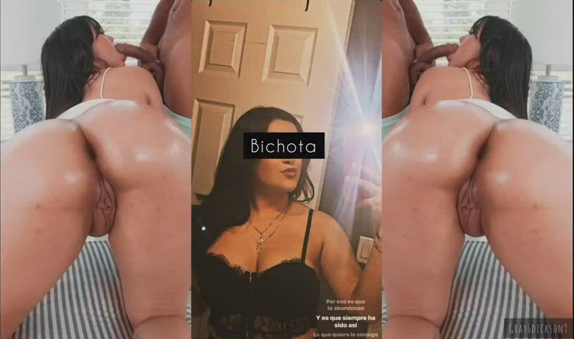 [Request ✅️] Big Tits Latina Crush