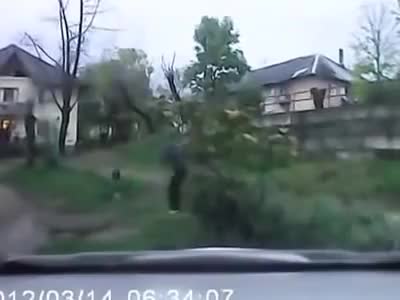 In Soviet Russia: Wild Boar Attacks people then get hit by a sink