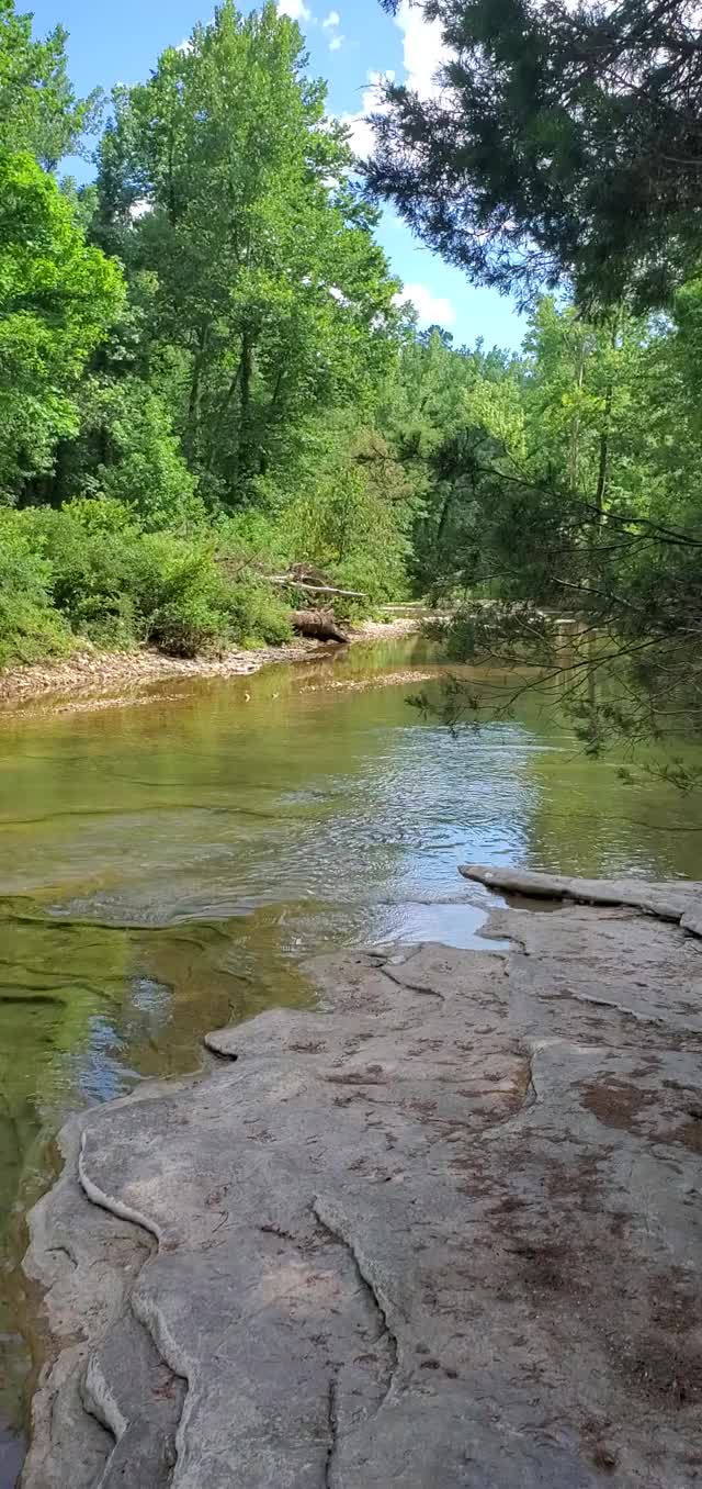 Blowjob on the creek