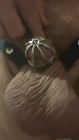 balls chastity gay clip