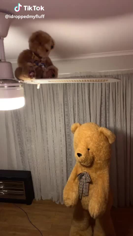 NOOO SON! #helphim #son #funny #teddy #comedy #foryou #trend #meme #no