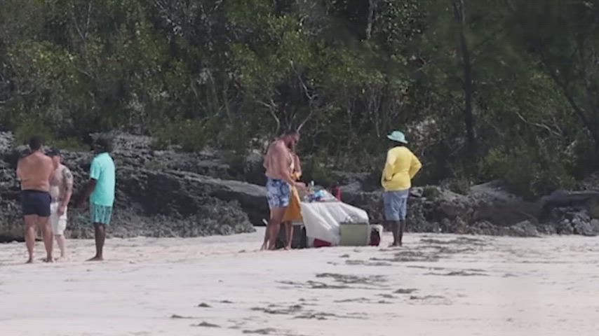 Tayor swift, Beach picnic