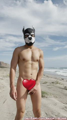 Want to play with this pup at the beach?