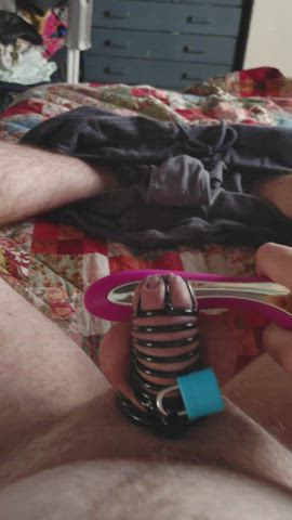 Chastity Cuckold Cum Ruined Orgasm Slave Spread Vibrator clip