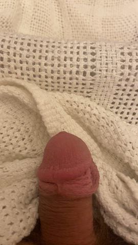 Erection Small Cock Throbbing Small Dick Porn GIF by just-trying1