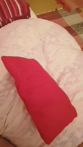 Girls Masturbating OnlyFans Pillow Humping Porn GIF by carolline23