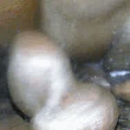 Amateur Big Tits Creampie Creamy Ebony Wet Pussy clip