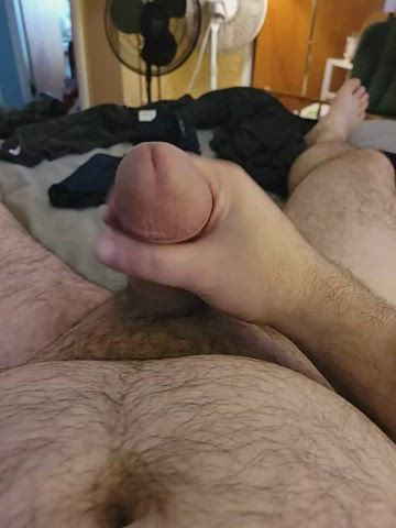 Who is a good boy that wants a taste?