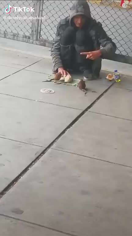 Homeless man teaches different rats multiple tricks.
