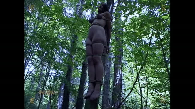 Two poor helpless teen girls restrained and tied to trees