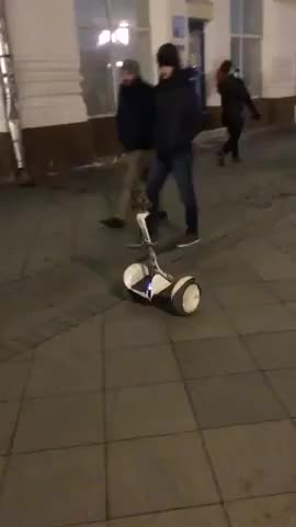 Owl Driving A Segway