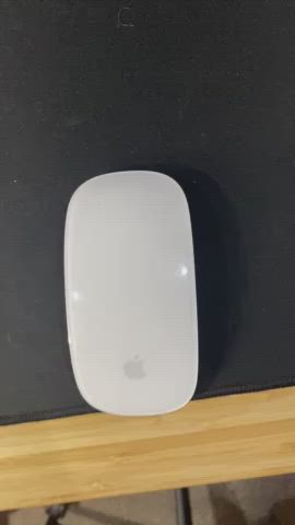 Magic Mouse vs Magic Cock (w/ sound). DMs welcome.