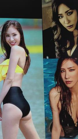 Stellar Junyool / Jeonyul birthday cum tribute