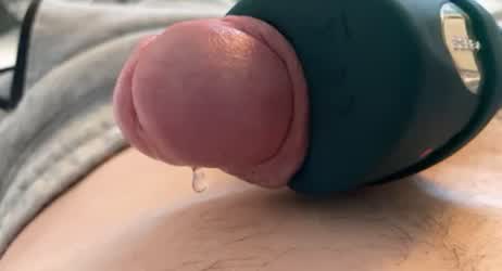 Cock Edging Penis Precum Toy clip