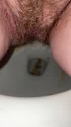 Ass Hairy Toilet clip
