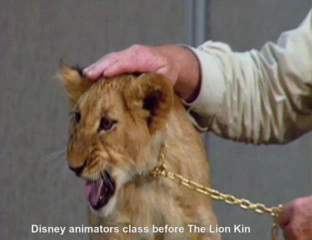 Disney Animators preparing for The Lion King