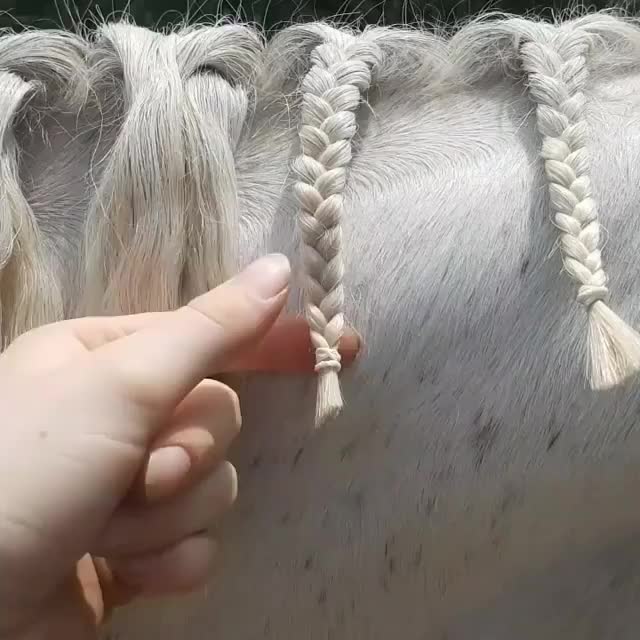  clip