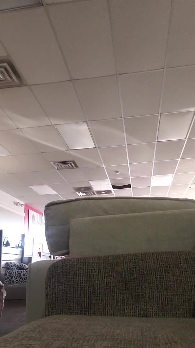 Pissing on couch at work on show room