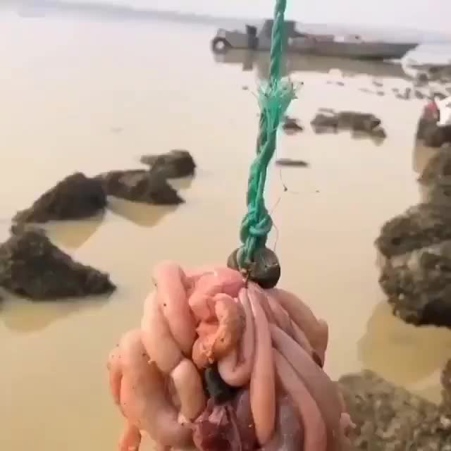 Crabs...?????? @earthlogas Credit by-.by @beautifulthings_of_theworld . . . .