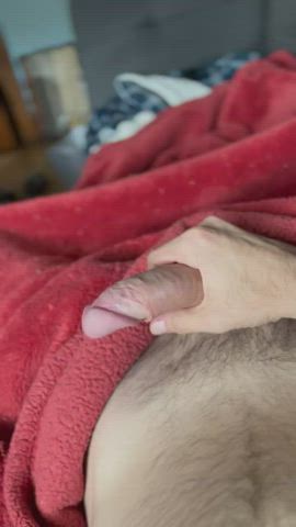 bwc big dick cock masturbating penis thick cock clip