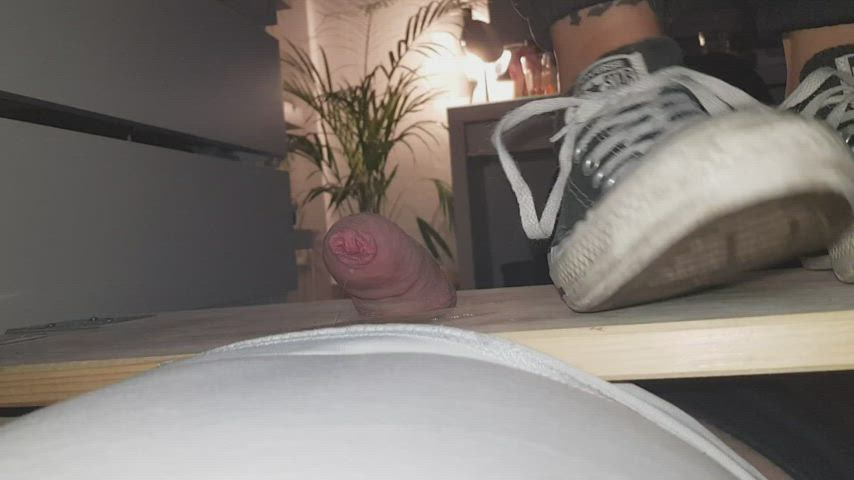 Converse sneakers cock trampling on cockboard