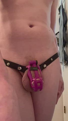 Chastity Sissy Slave clip