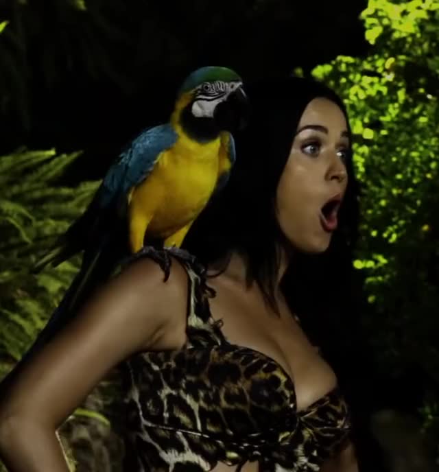 Katy Perry - Making of the Roar  Music Video - 03