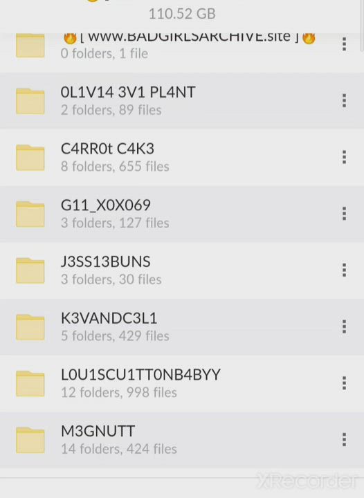 Check Comment For 110GB of Baddies Folder (with BG Xtapes??) in Comment??