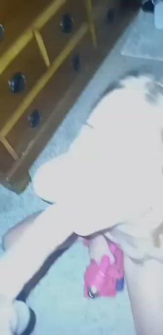 Amateur Blowjob White Girl clip