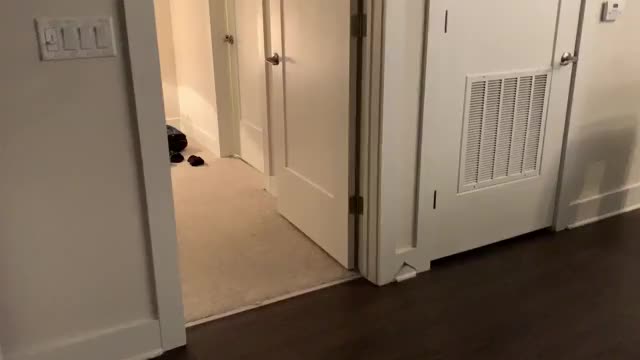 Hubby loves watching from the door way