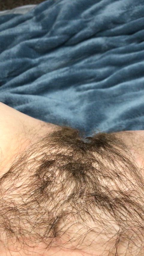 Rate my hairy pussy plz