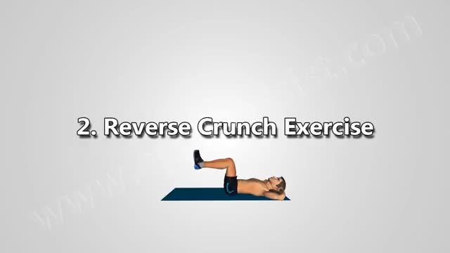 6 Pack Abs Exercise - Reverse Crunch By ePainAssist.com