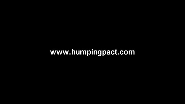 The Humping Pact Attacks the Industry