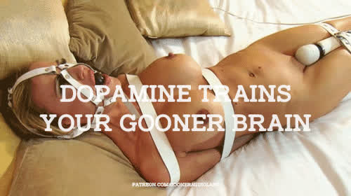 Dopamine trains your gooner brain.