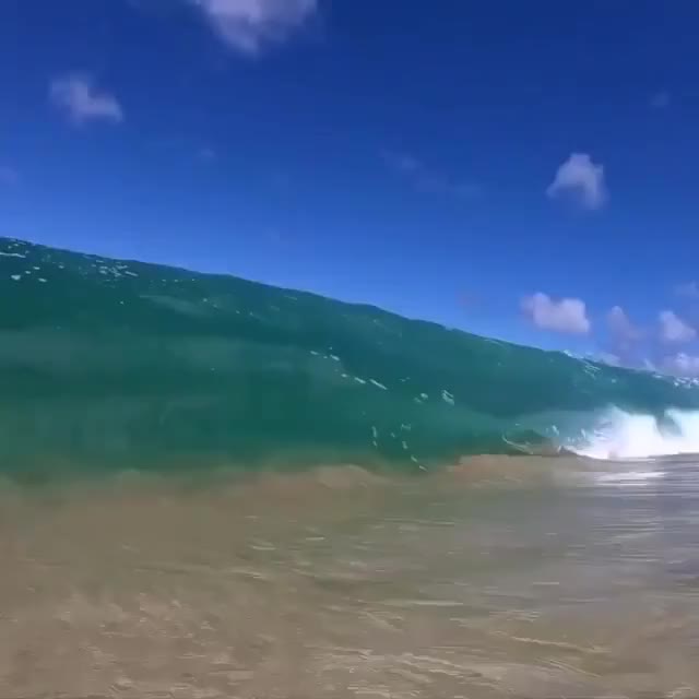 Honolulu wave