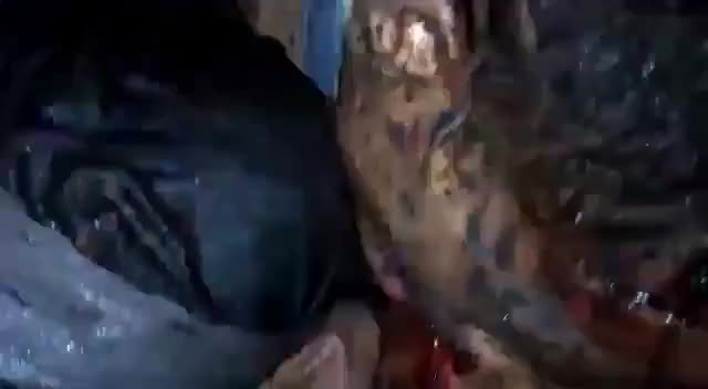  clip