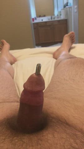 Chubby Object Insertion Penis clip