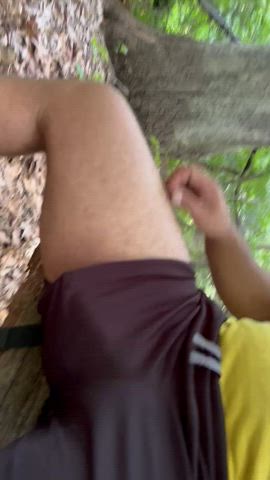 Park Shenanigans (M)