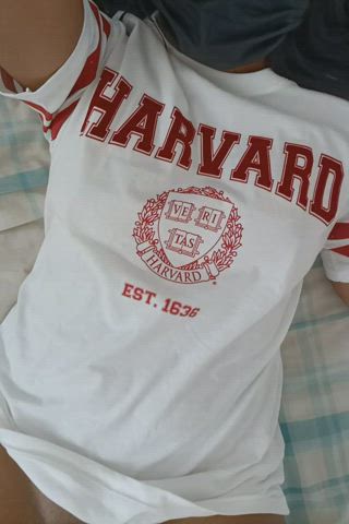 Harvard cooch