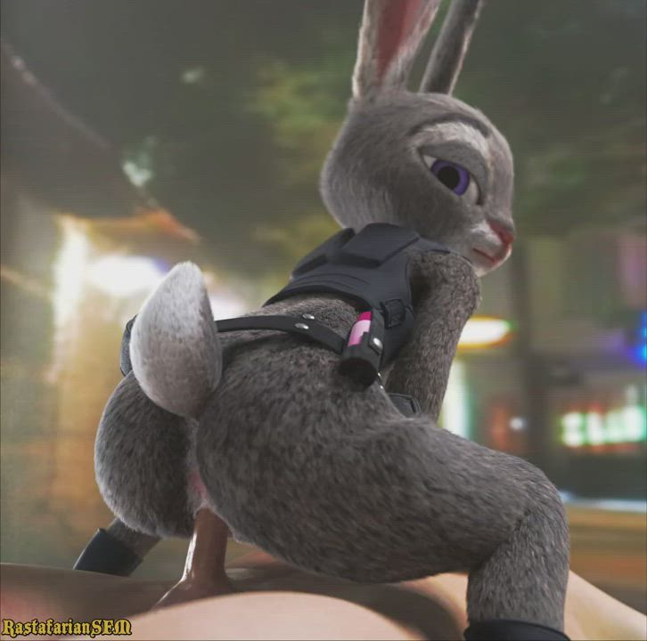 Animation Bunny Riding clip